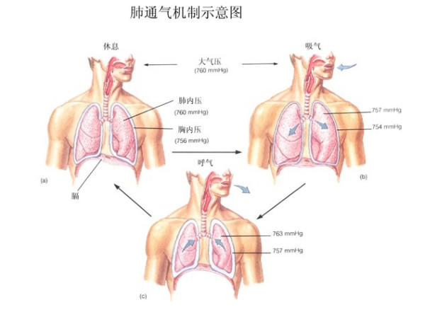 &#24320;&#20113;&#40;&#20013;&#22269;&#41;&#75;&#97;&#105;&#121;&#117;&#110;