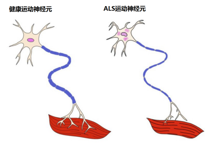 &#24320;&#20113;&#40;&#20013;&#22269;&#41;&#75;&#97;&#105;&#121;&#117;&#110;